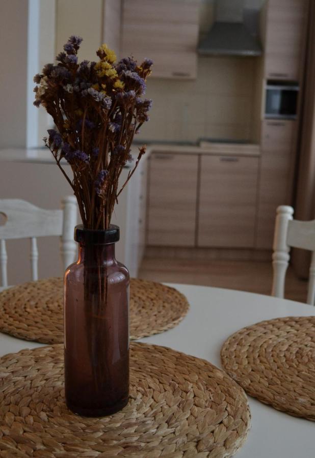 Saulys Appartement Druskininkai Buitenkant foto